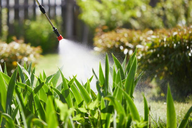 24/7 Emergency Ant Control experts in Wenona, IL