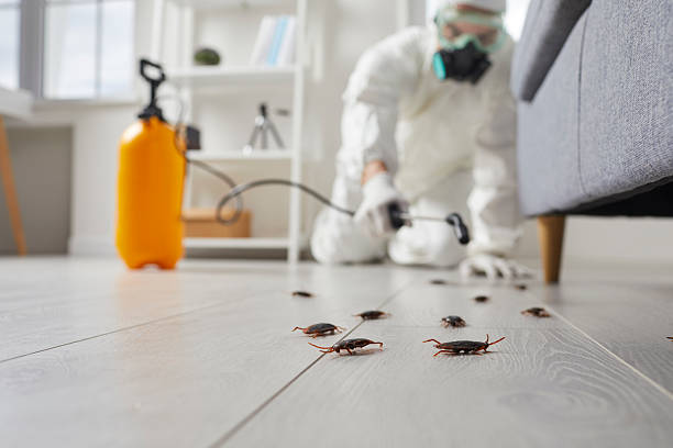 Trusted Rodent Control service in Wenona, IL - Nex Pest Control